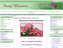 Tablet Screenshot of fancy-bloomers.com